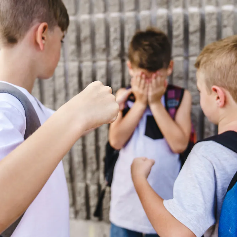 Lb Formation Formation Gestion Des Conflits Var Gestion Des Situations Agressive